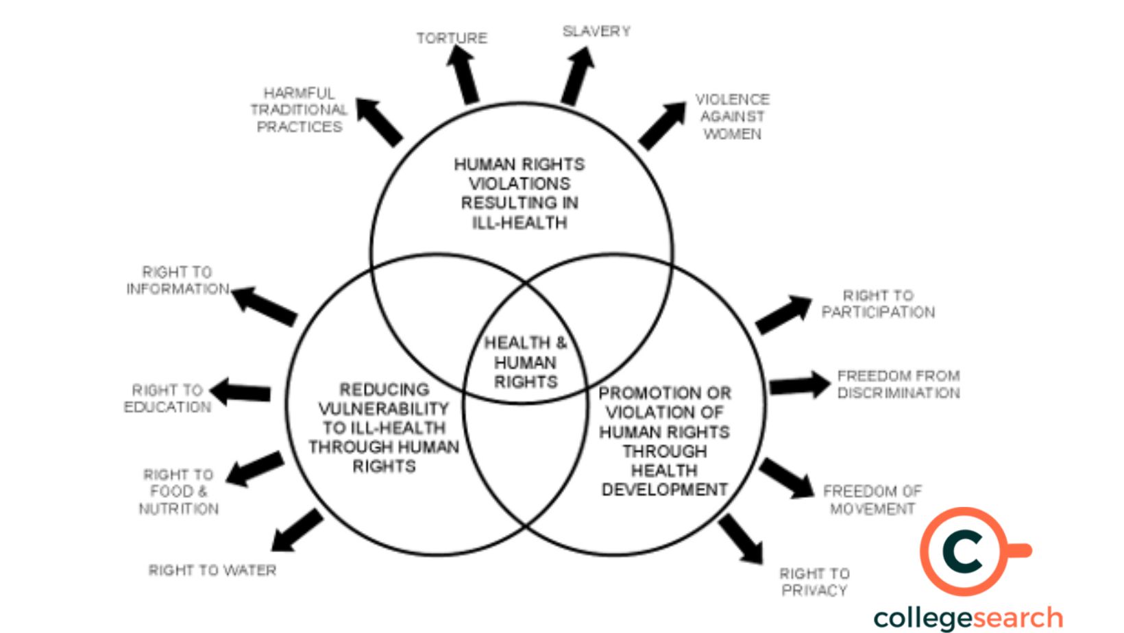 Determinants of health. Здоровье мигранта дети плюс. Result of study. Инфографика девушка. Women's rights are human rights.