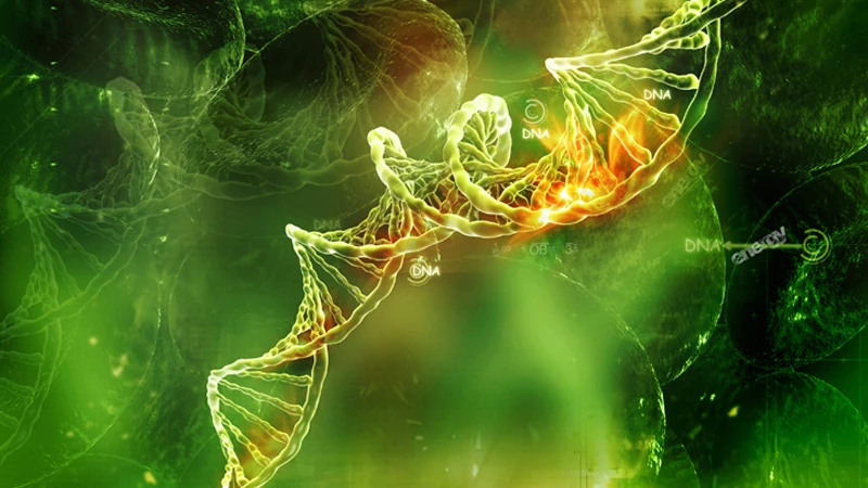 Karnataka 2nd PUC Biology Syllabus 2025-26 PDF Download: Chapters, Deleted Topics, and Preparation Tips