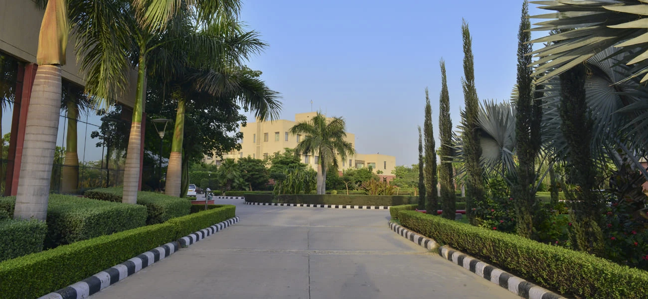 Campus