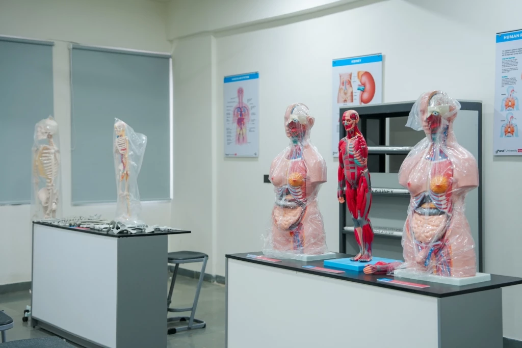 Preclinic science  Lab